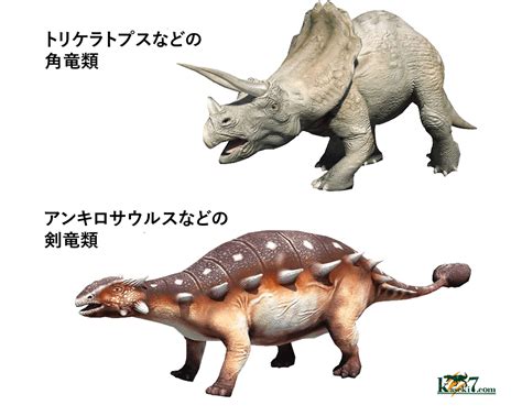 恐竜 の 種類 画像