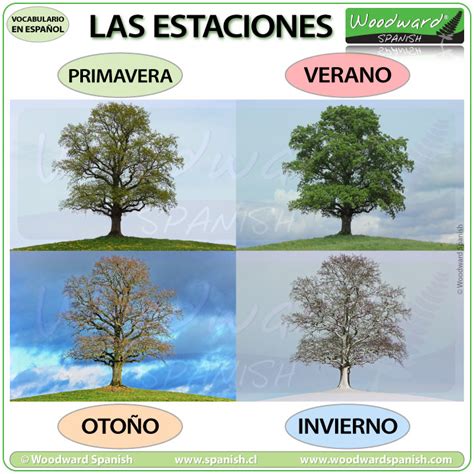 Spanish Seasons Las Estaciones Del Año En Español Woodward Spanish