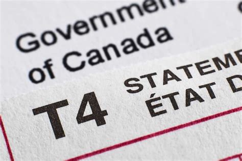 Newcomers How To File Your Taxes In Canada