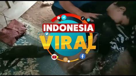 Indonesia Viral 020220