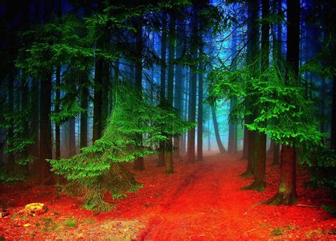Black Forest Germany Wallpapers Top Free Black Forest Germany
