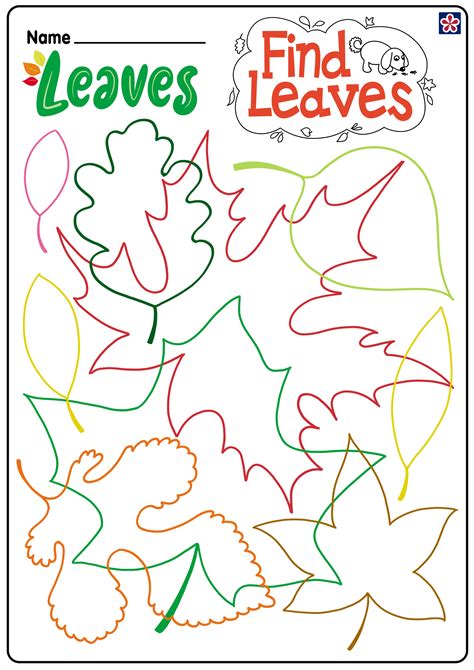 Free Fall Leaves Worksheets For Preschool And Kindergarten