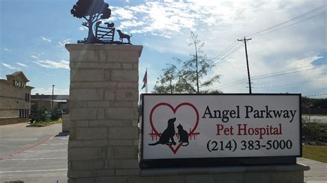 Самые новые твиты от angel pet hospital (@angelpethospit): Angel Parkway Pet Hospital