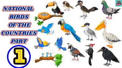 National Birds Of Countries Countries Name With National Birds