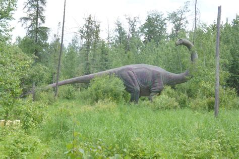 Mesozoic Musings At Jurassic Forest A Few Dinosaur Myths
