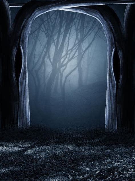 46 Creepy Forest Wallpaper Wallpapersafari