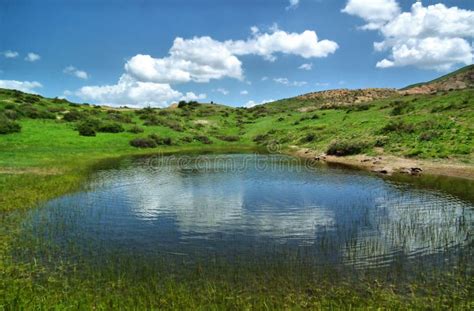 Small Lake In Meadow Stock Image Image Of Green Background 155217215