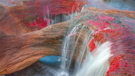 The Caño Cristales River In The Serranía De La Macarena Mountains Of