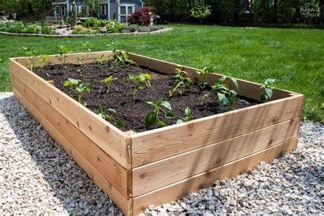 Building A Raised Garden Bed Diy Designelitists