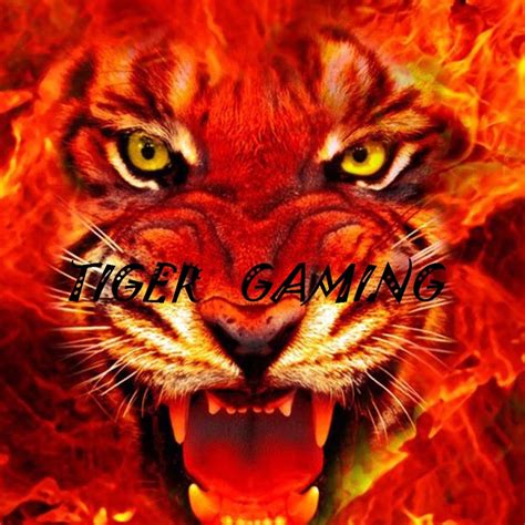 Tiger Gaming Youtube