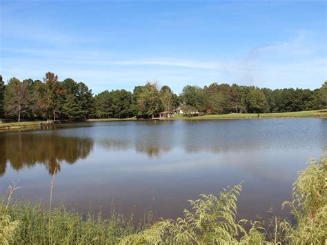 Farm With House And 4 Acre Pond Farm For Sale In Alabama 178582