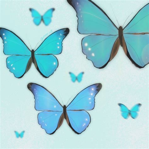 🦋 Blue Butterflies Blue Butterfly Butterfly Drawing Butterfly