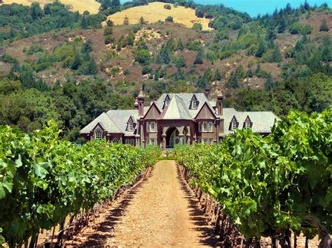 I Mean I Wouldnt Mind Living On A Vineyard In A Mansion Sonoma