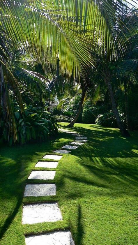 10 Inspiring Tropical Landscaping Ideas That Can Be Made Easily Page
