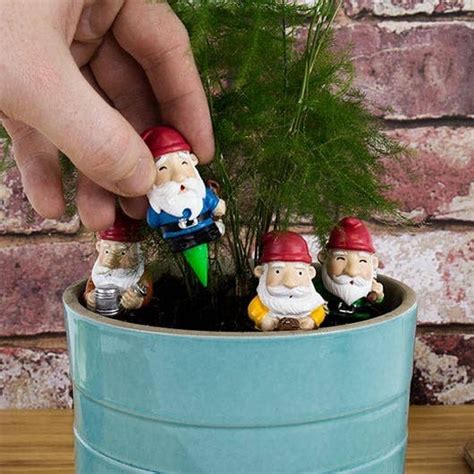 Mini Garden Gnomes Gr121 Island Treasure Toys