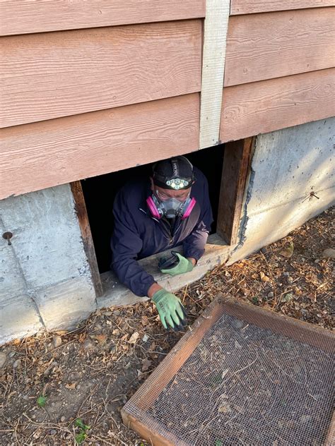 EcoShield Pest Solutions New York - Home