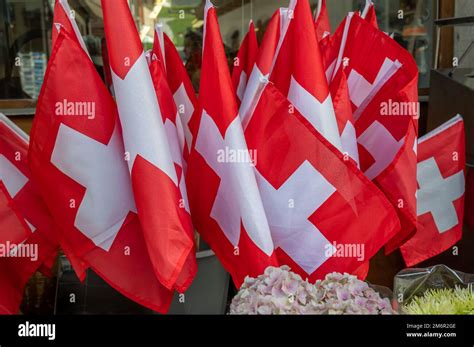 Bandera Suiza Grupo De Bandera De Suiza Bandera Cuadrada Roja Con Una