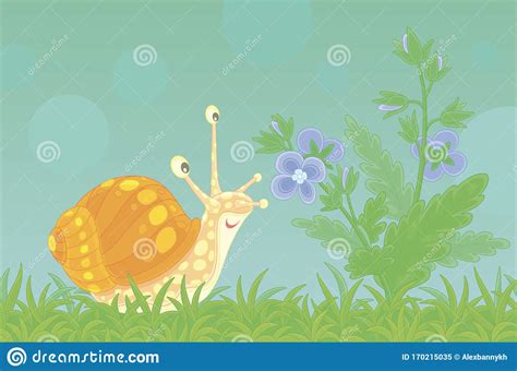 Garden Snail Smelling A Wildflower Stock Vector Illustration Of