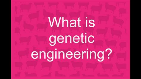 What Is Genetic Engineering Youtube