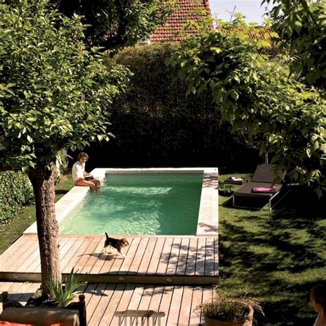 Low Budget Small Backyard Natural Swimming Pools Design Dhomish