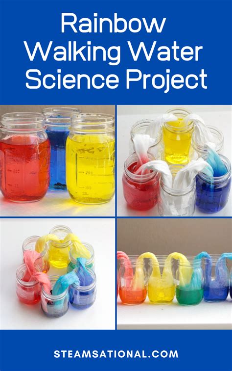 2- Ingredient Walking Rainbow Experiment That Works Like Magic | Rainbow experiment, Water ...