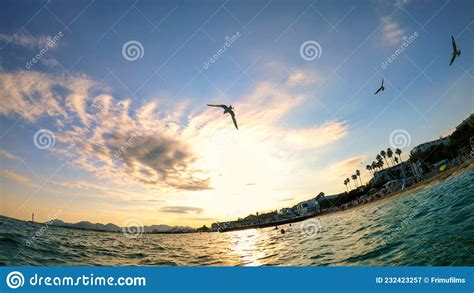 Beach At Sunset In Cannes France Editorial Photography Image Of