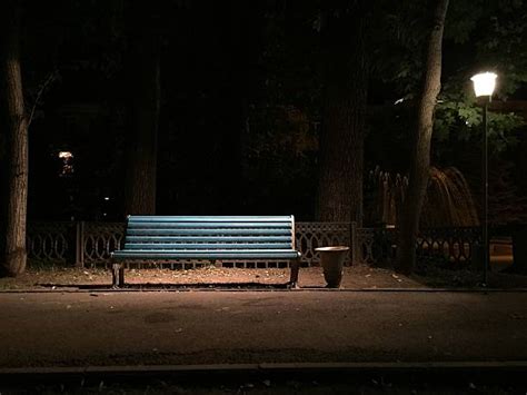 Park Bench At Night Stock Photos Pictures And Royalty Free Images Istock
