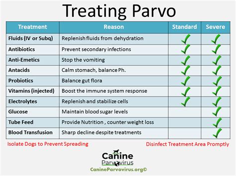 Antibiotics For Dogs With Parvosave Up To 15