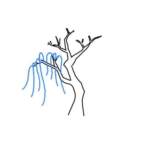 How To Draw A Willow Tree Step By Step Easy Drawing Guides Drawing