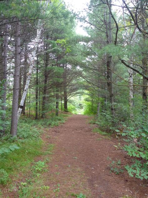 This rustic family campground is open from april 15 to dec. Camping in Algonquin Park - TURNIPSEED TRAVEL