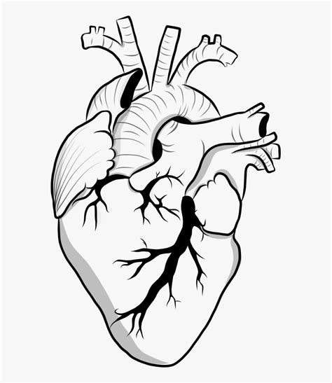 Heart Black And White Clipart Doodle Transparent Aesthetic Black