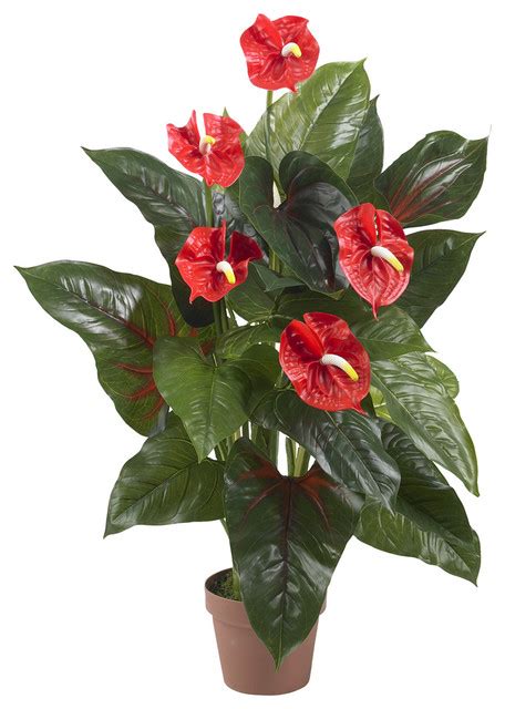 Commercially available tropical flowers are mainly grown specifically please remember that unlike other flowers tropical flowers like to be kept warm. 3' Anthurium Silk Plant, Real Touch - Tropical ...