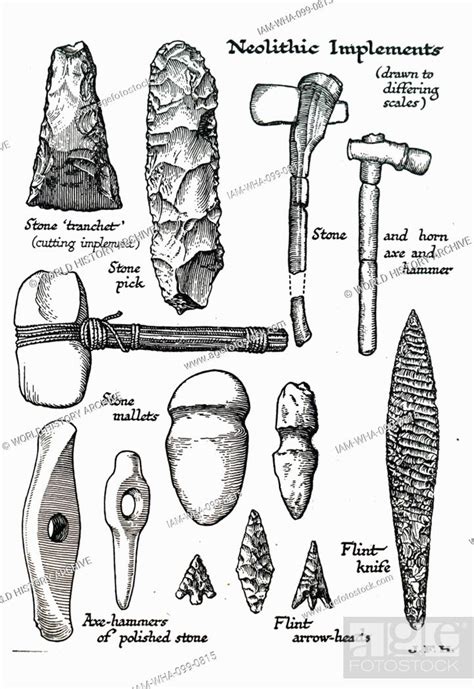 Engraving Depicting Neolithic Implements Including A Stone Tranchet