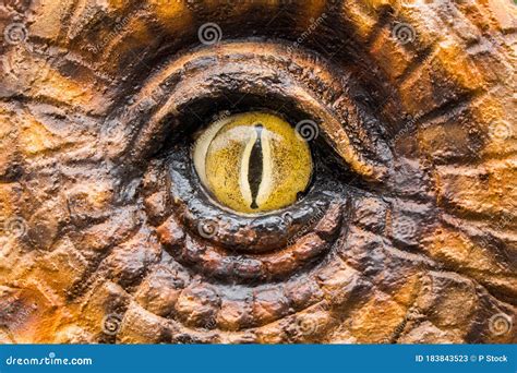 Eyes Of The Dinosaur Hunters Stock Image Image Of Curve Architecture