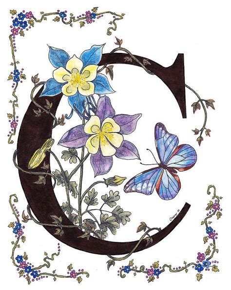 Columbines And A Cramers Blue Morpho Butterfly By Stanza Widen