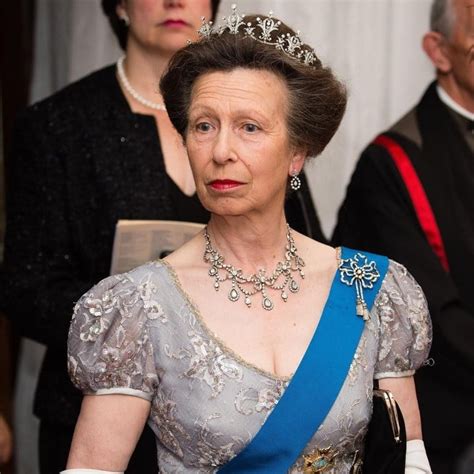 Did Princess Anne Really Shrug Off Donald Trump 5 Times Queen Elizabeths Daughter Has Shocked