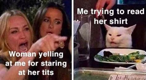 Woman Yelling At A Cat Memes Pics