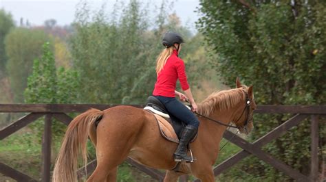 Sporty Female Jockey Practice Riding Stock Footage Sbv 331502758