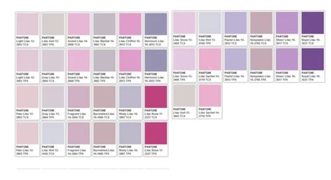 Pantone Purple Gumdrop Pantone Colour Palettes Pantone Color Chart