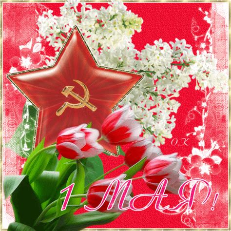 До конца года остаётся 244 дня. Открытка к 1 мая - День весны и труда - 1 мая открытки и ...