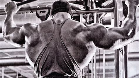 Arnold Schwarzenegger Back Muscles