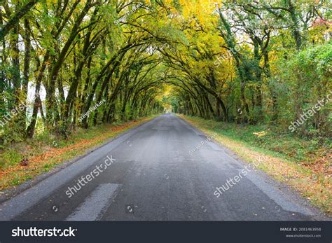 410 Tree Canopy Over Path Images Stock Photos And Vectors Shutterstock