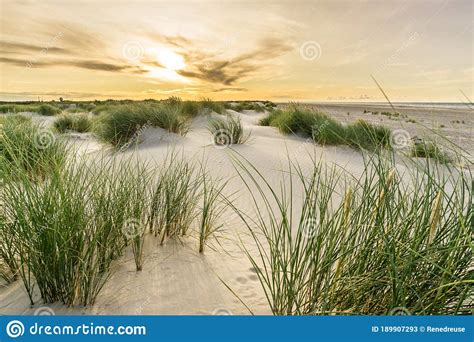 Beach With Sand Dunes And Marram Grass With Soft Sunrise Sunset Back