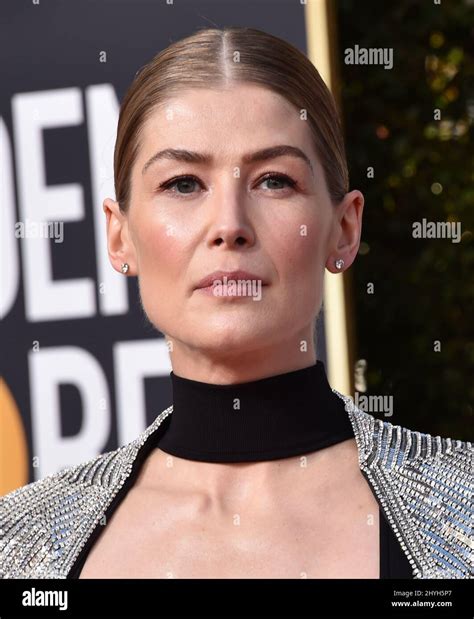 Rosamund Pike At The 76th Annual Golden Globe Awards Held At The