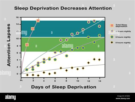Graph Showing Data From A Study On Sleep Deprivation And Its Effects On