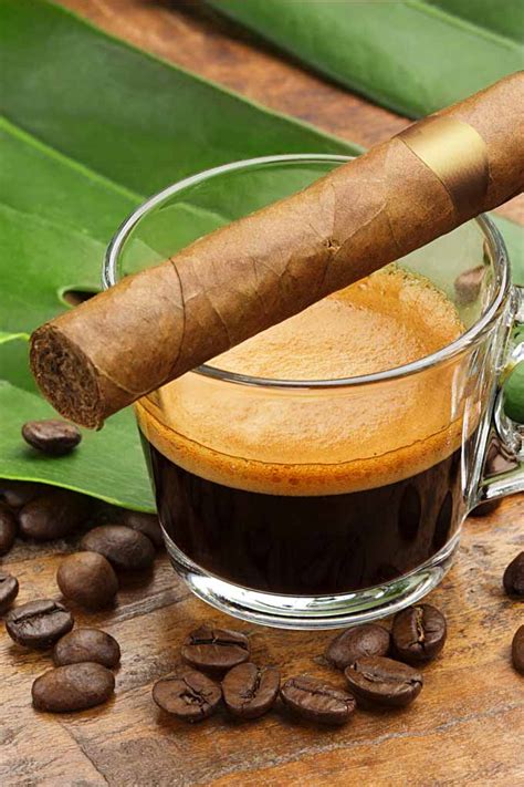 Stil Verlust H Hepunkt Cubano Kaffee Rhythmus Tarif Genre