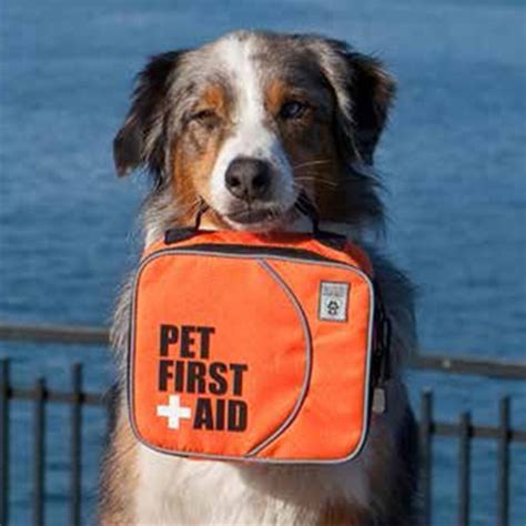 Pet First Aid Kit By Canine Friendly Baxterboo