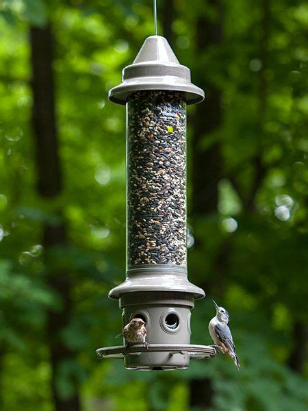 Squirrel Proof Bird Feeders | Anti Squirrel Feeder | Squirrel proof