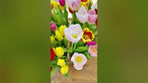 17 Simple Tulip Arrangements You Can Create Today Youtube