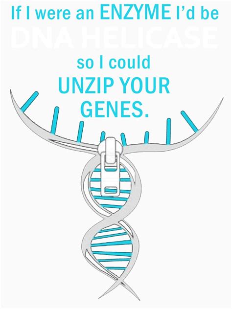 Funny Biology T Shirt T If I Were An Enzyme I D Be Dna Helicase So